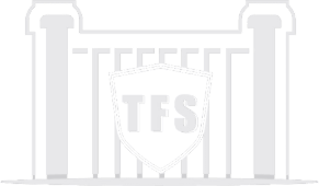 TFS